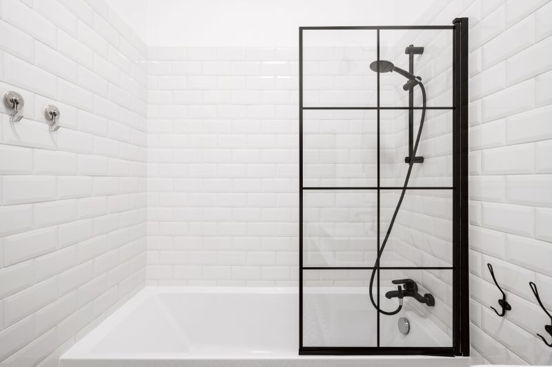 Glass Panel Shower with Matte Black Frame